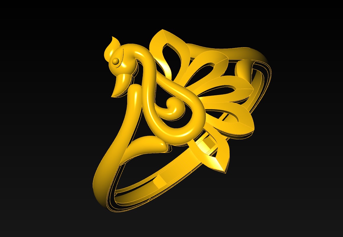 Plan Rings 3D print model_40