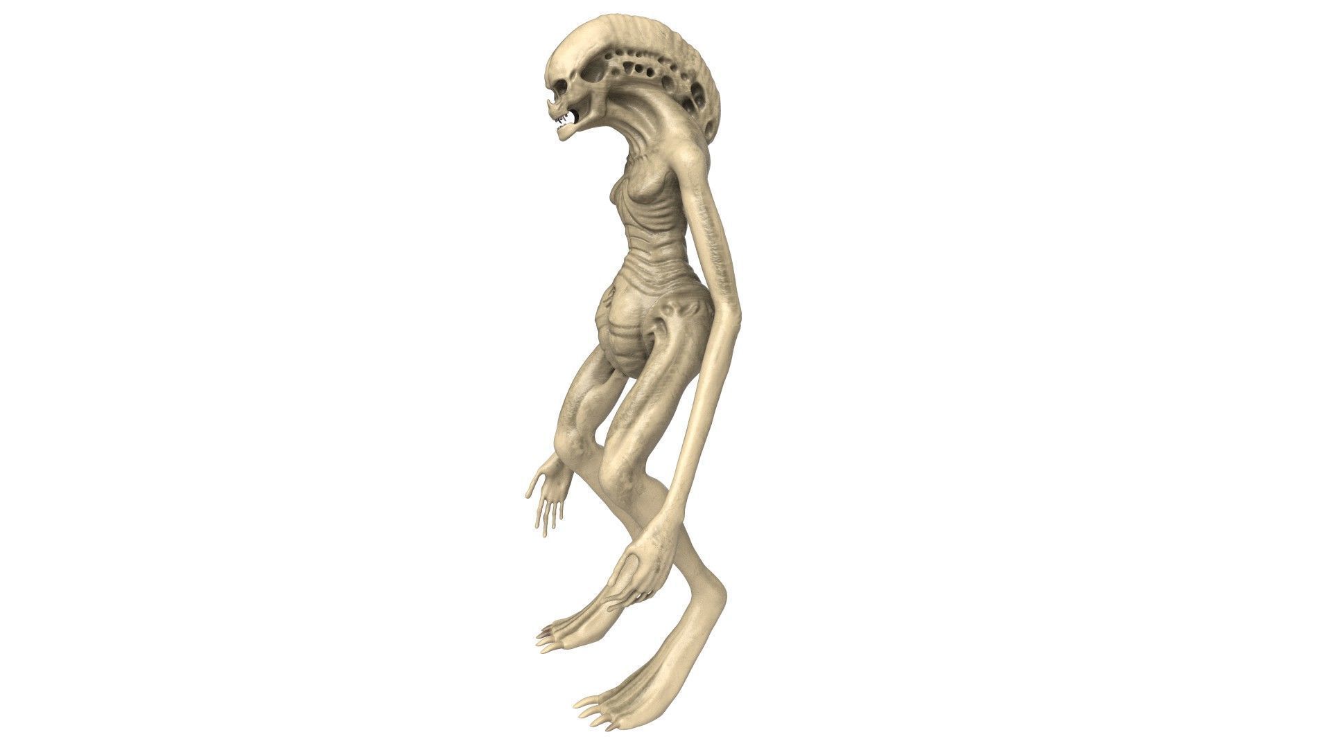 Alien Newborn 3D model_2