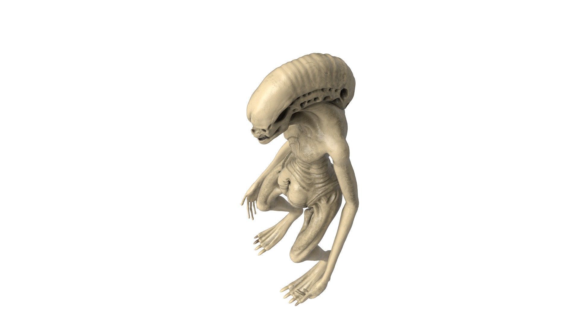 Alien Newborn 3D model_4