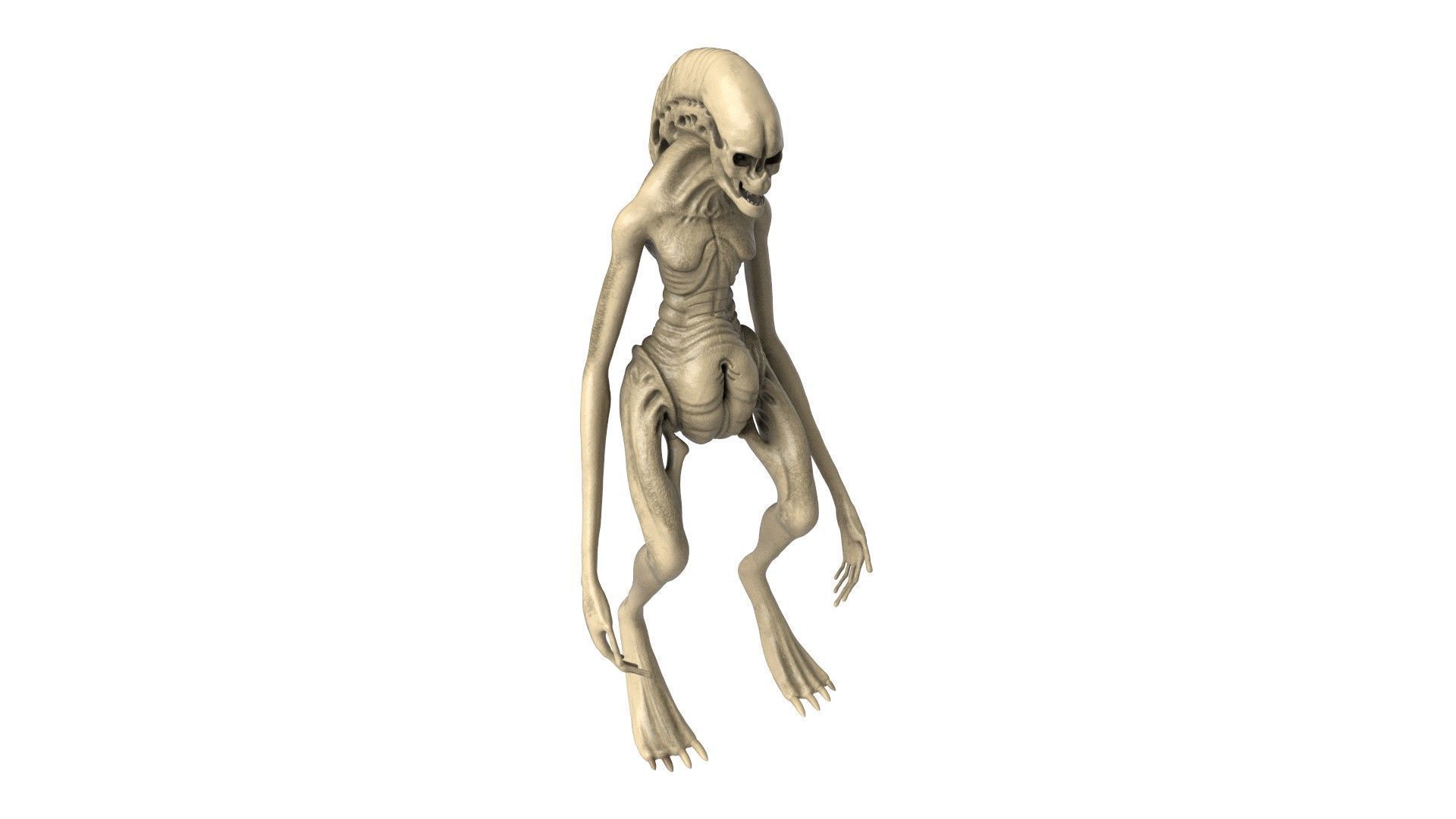 Alien Newborn 3D model_1