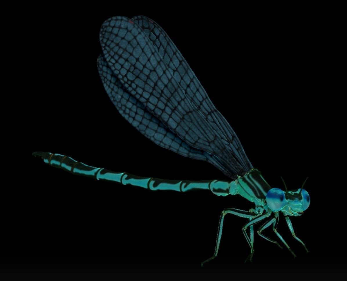 Dragonfly on a lotus flower 3D print model_3