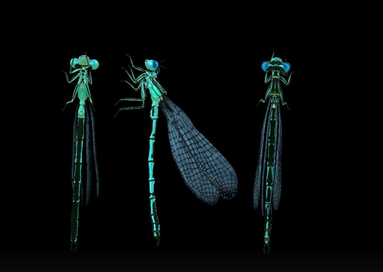 Dragonfly on a lotus flower 3D print model_5