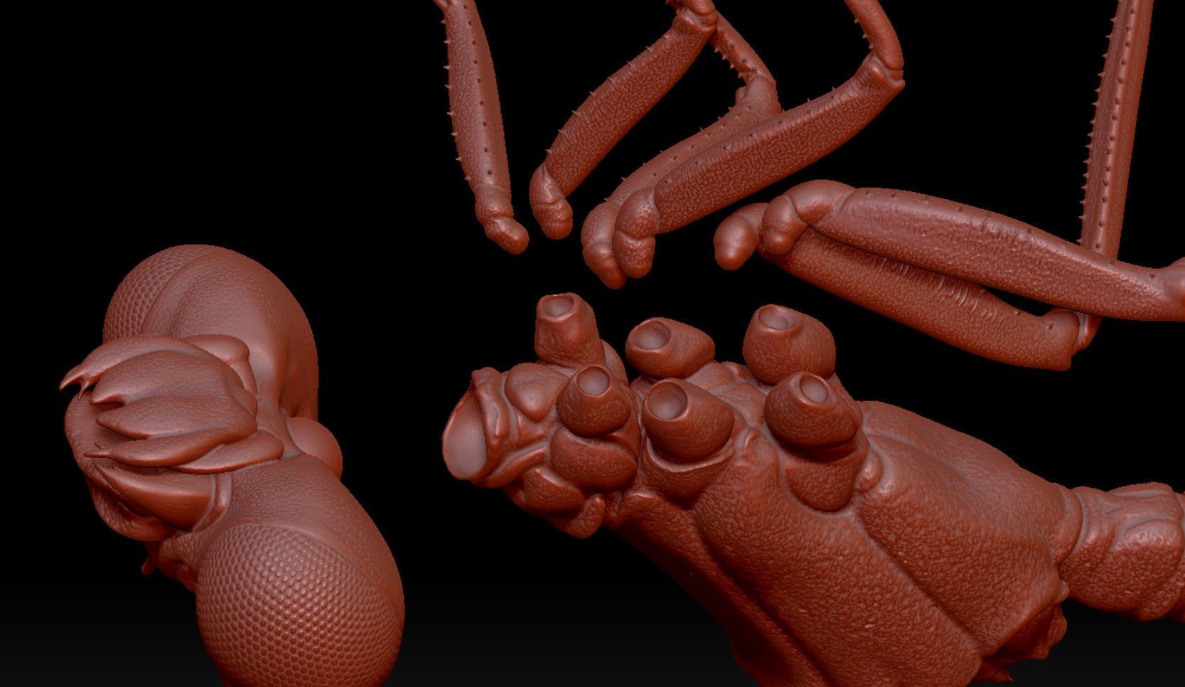 Dragonfly on a lotus flower 3D print model_7