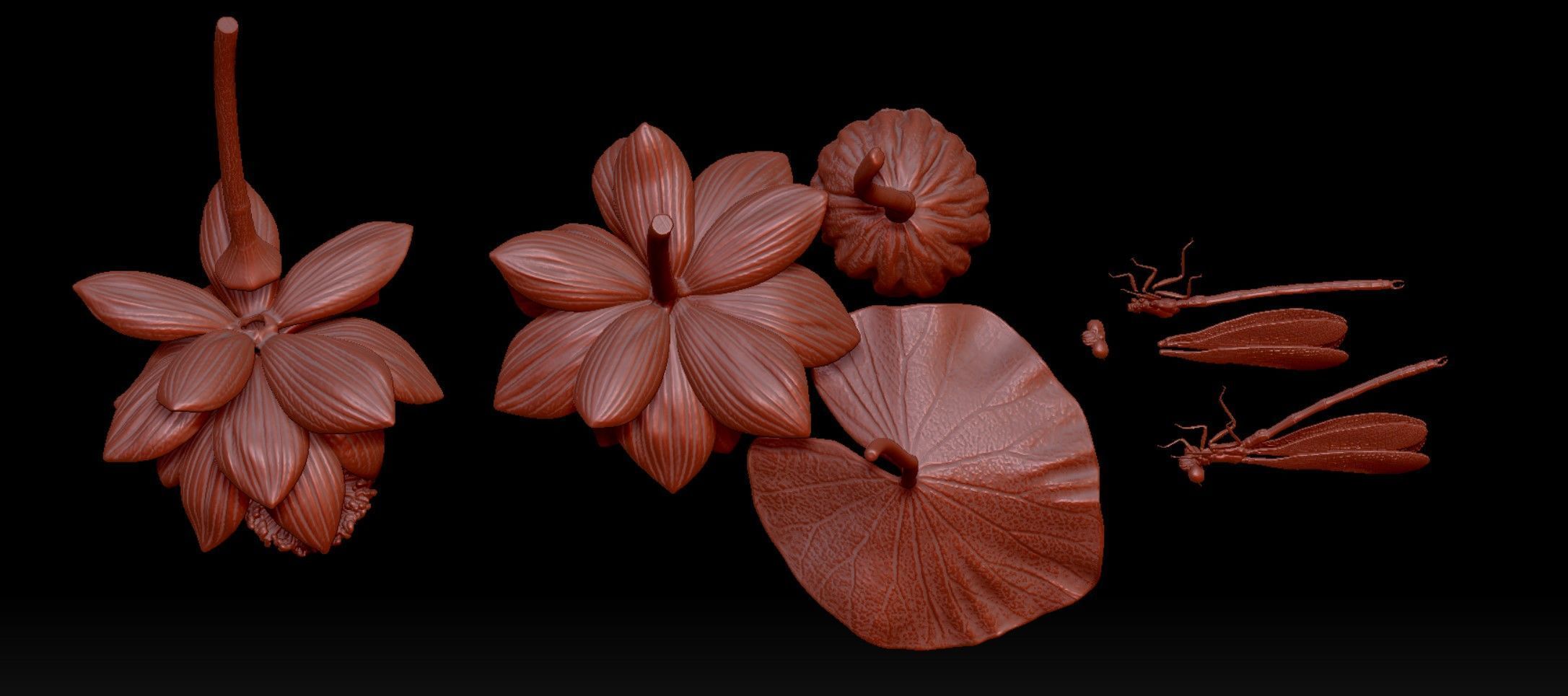 Dragonfly on a lotus flower 3D print model_6
