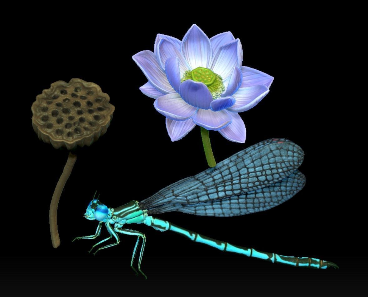Dragonfly on a lotus flower 3D print model_8