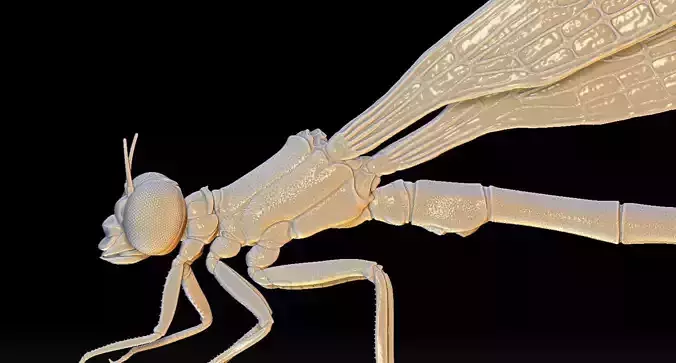 Dragonfly on a lotus flower 3D print model