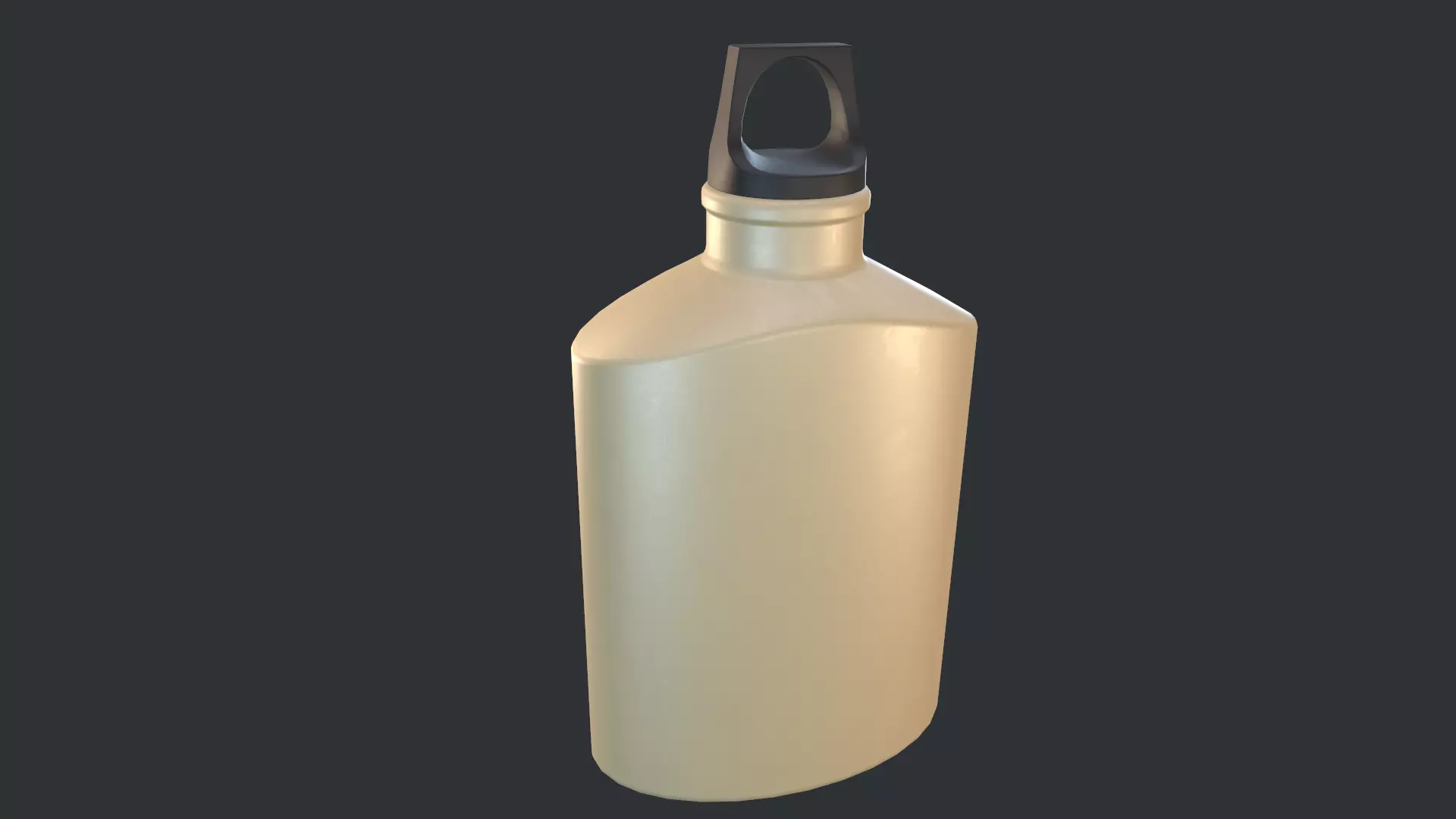 Flask Canister Khaki Low-poly 3D model_0