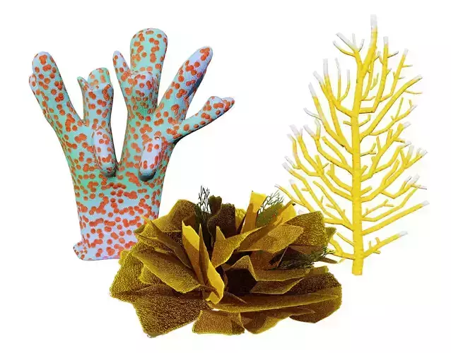 Underwater Coral and Plant Pack - 3D Models Low-poly 3D model