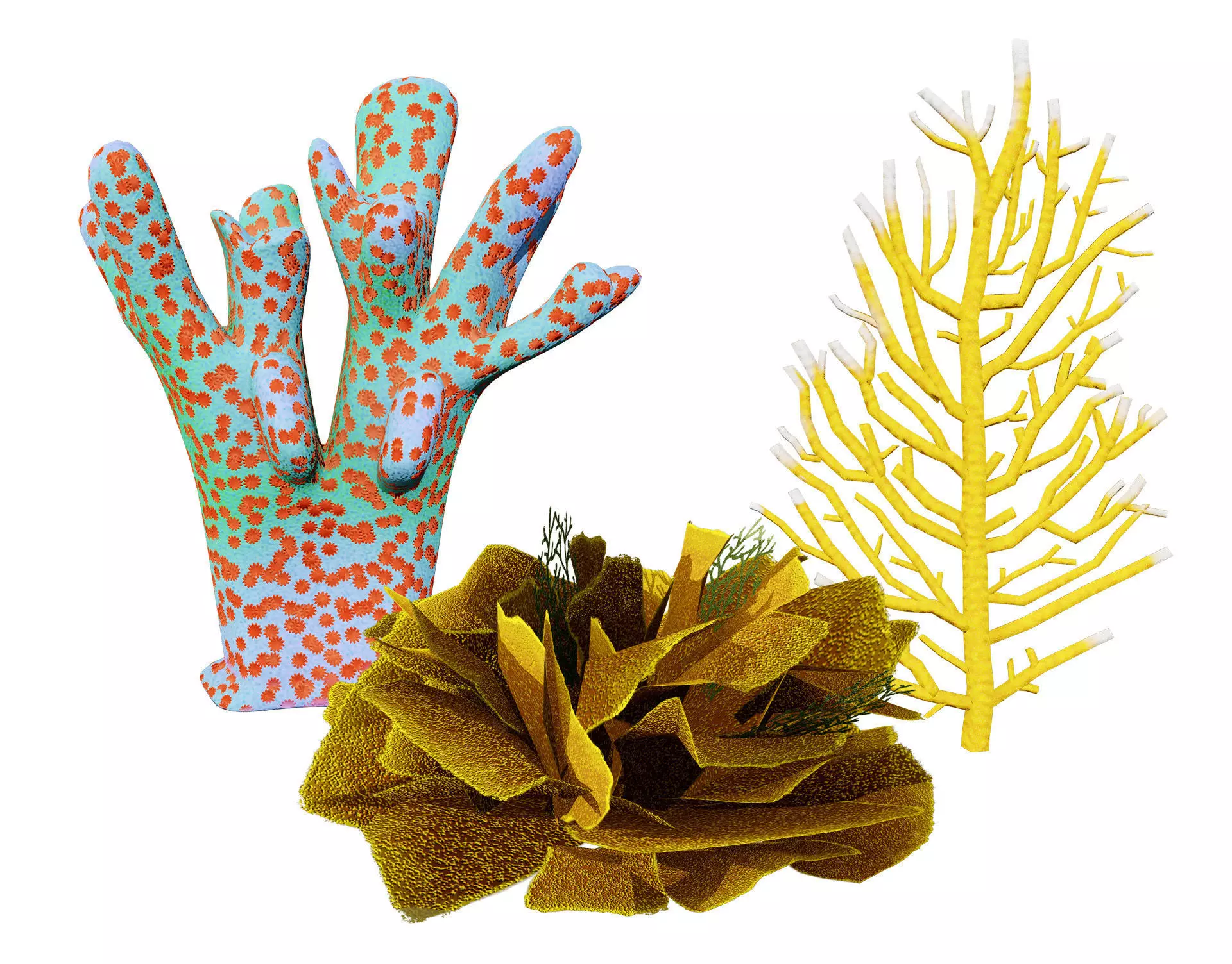 Underwater Coral and Plant Pack - 3D Models Low-poly 3D model_0