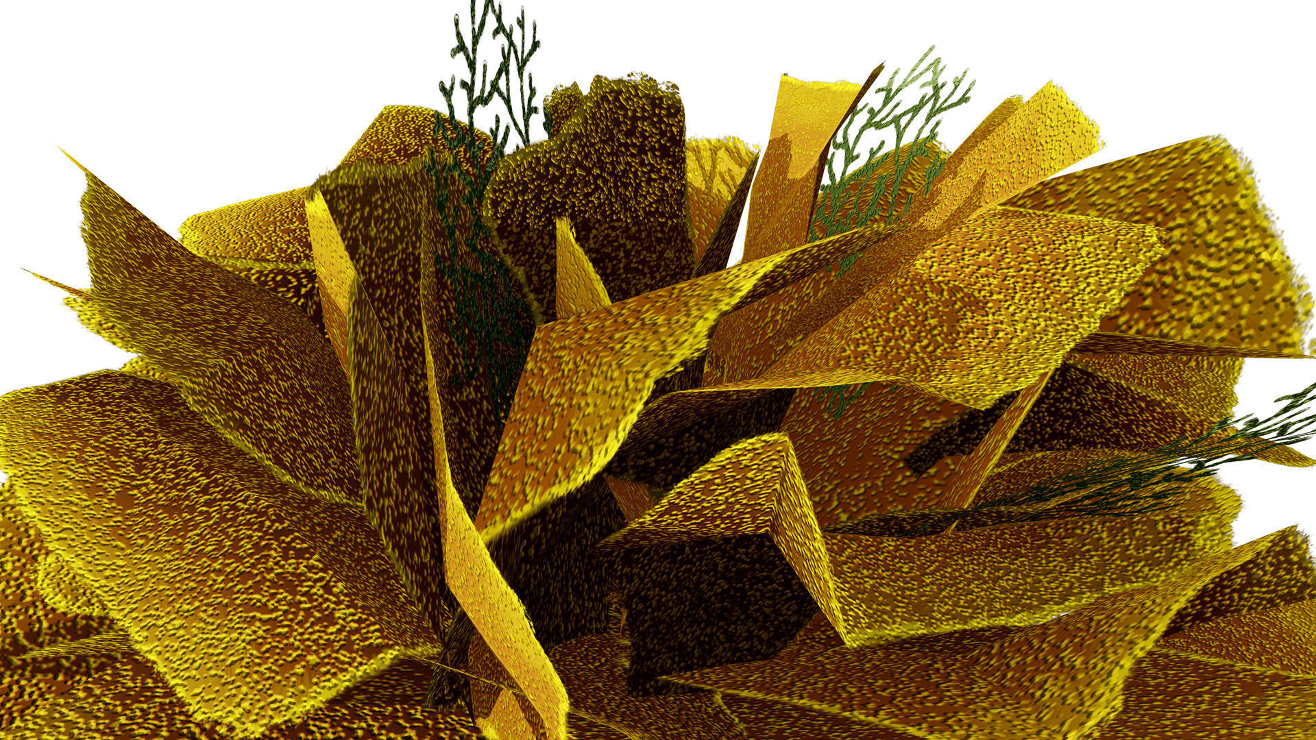 Underwater Coral and Plant Pack - 3D Models Low-poly 3D model_5