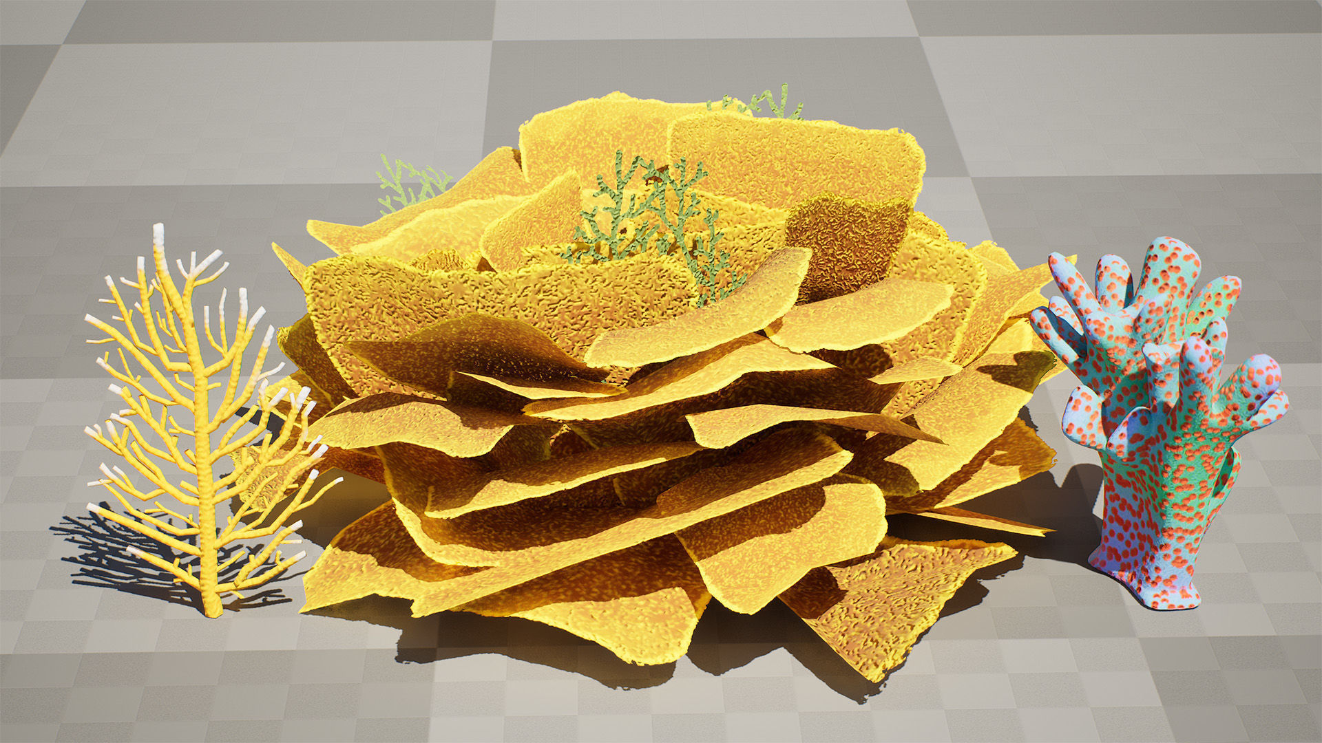 Underwater Coral and Plant Pack - 3D Models Low-poly 3D model_9