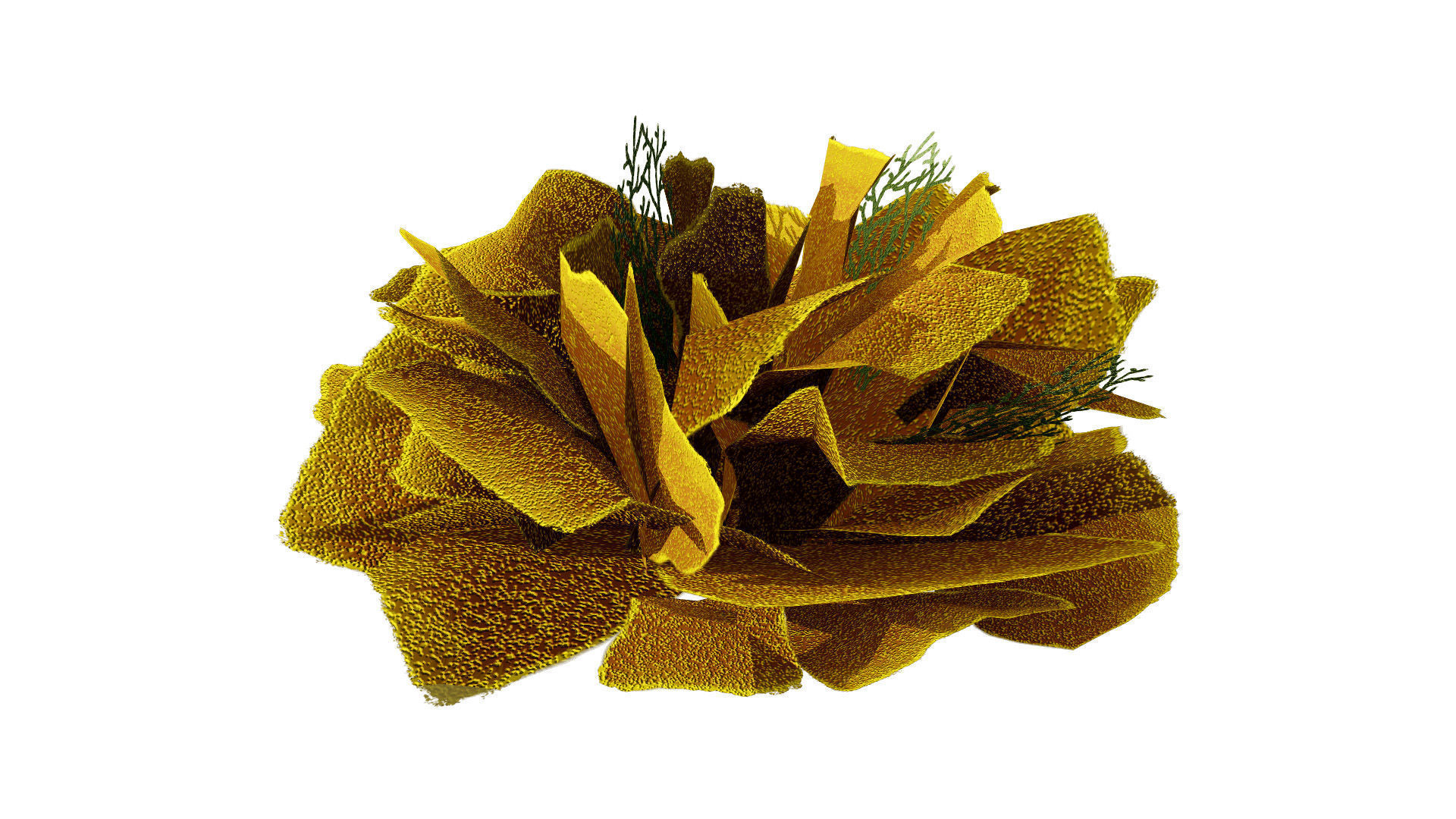 Underwater Coral and Plant Pack - 3D Models Low-poly 3D model_6