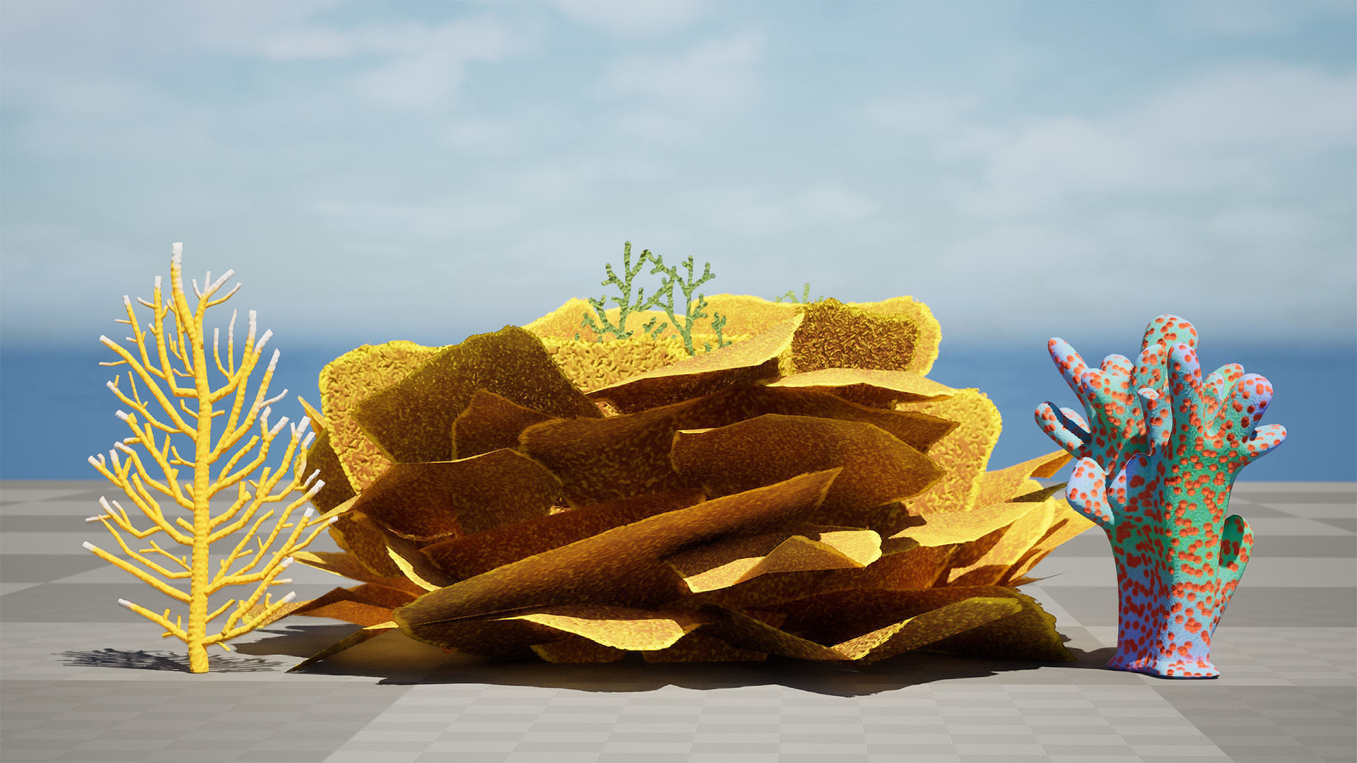 Underwater Coral and Plant Pack - 3D Models Low-poly 3D model_10
