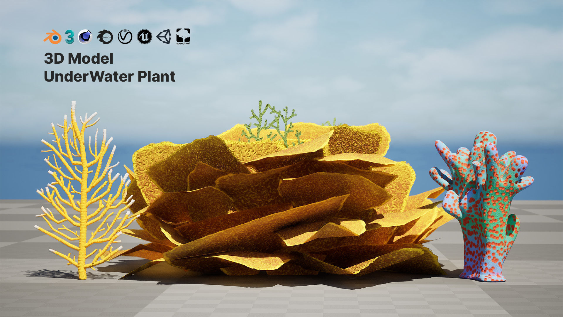Underwater Coral and Plant Pack - 3D Models Low-poly 3D model_3