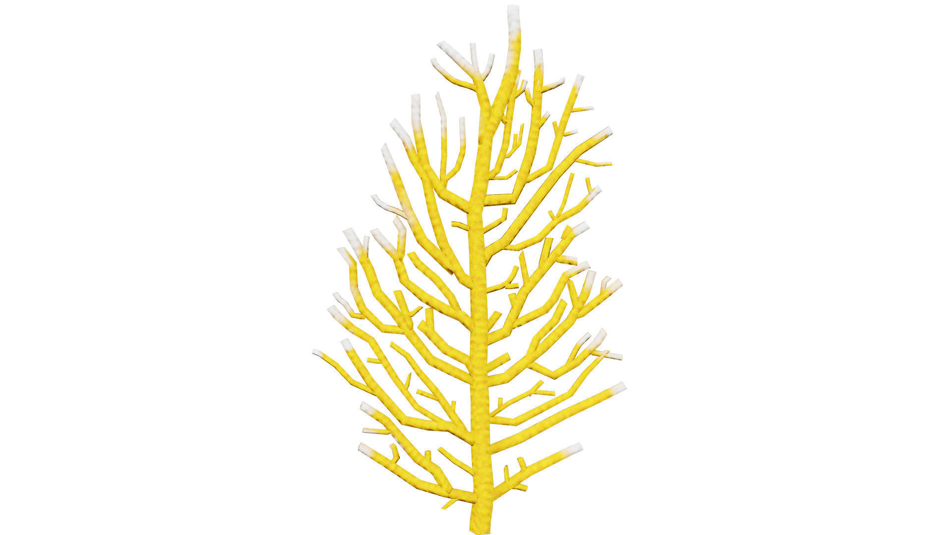 Underwater Coral and Plant Pack - 3D Models Low-poly 3D model_8