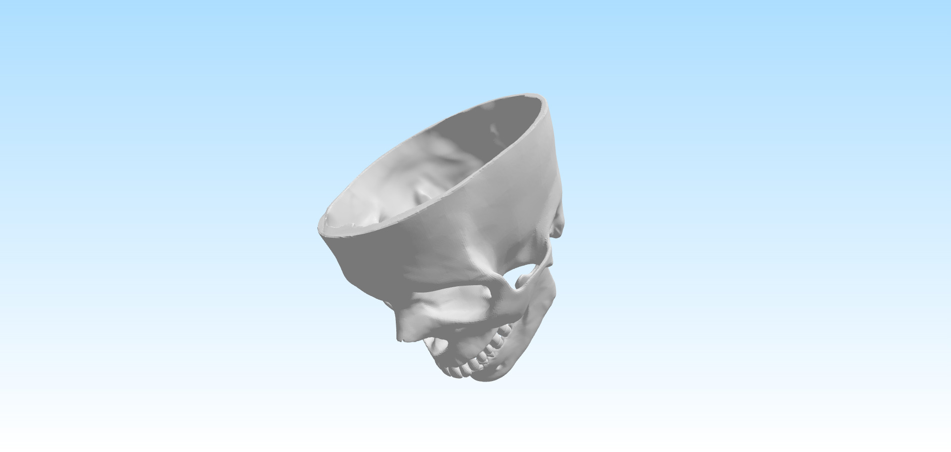  skul human 3D print model_1
