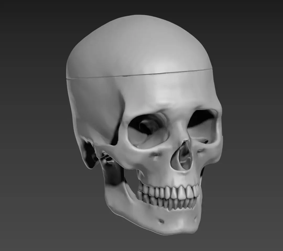  skul human 3D print model_0