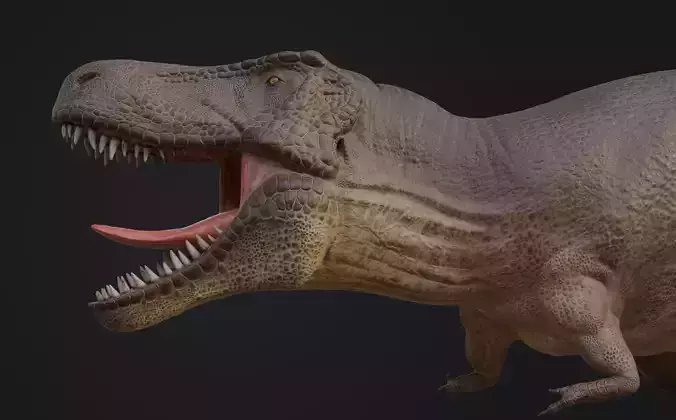 Tyrannosaurus rex