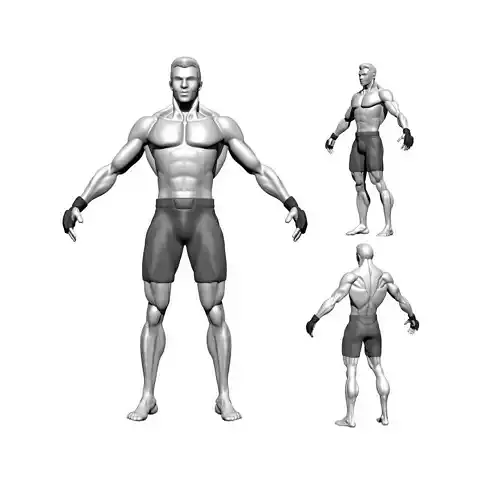 Stylized MMA Fighter