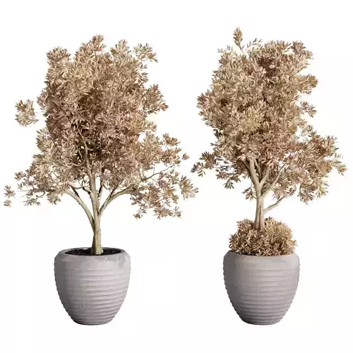 Dry Grass and Trees in a Concrete Pot - Indoor set 570 3D model