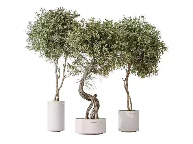 AV Indoor plants set 145 Olive Artificial Olivo Olea Tree