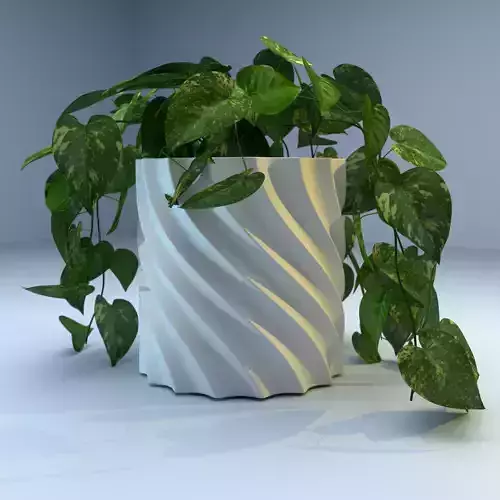 Pot for Indoor Plants 