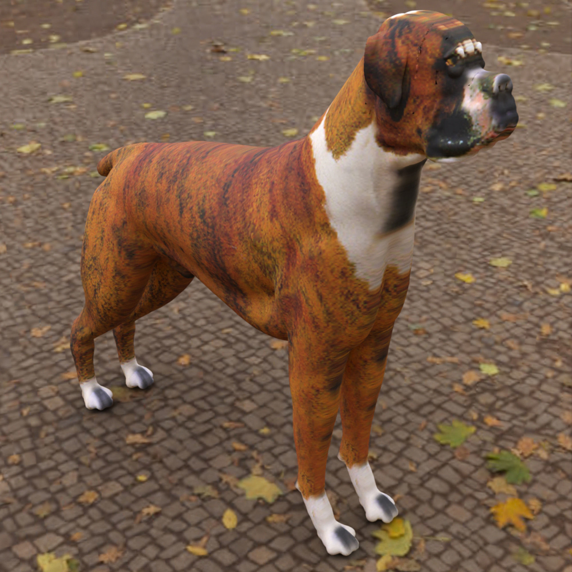 Boxer - 3D Dog Low-poly 3D model_1