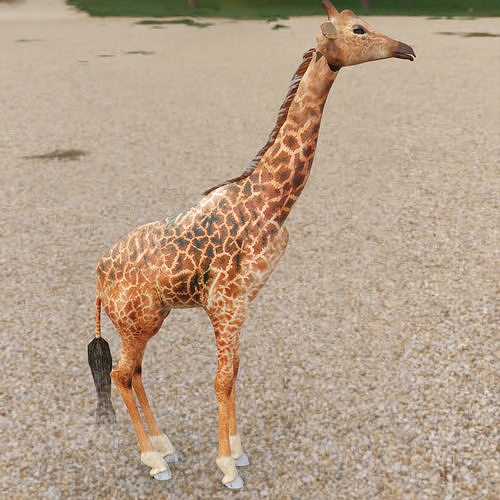 Giraffe Low-poly 3D model