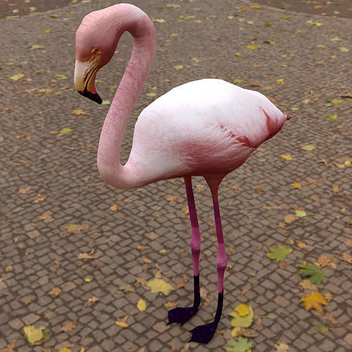 Flamingo Low-poly 3D model