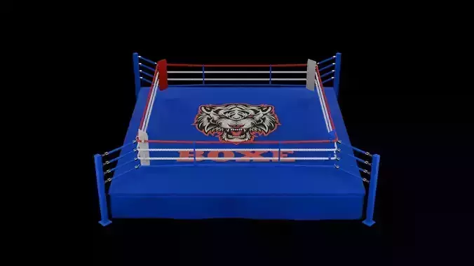 Boxing ring