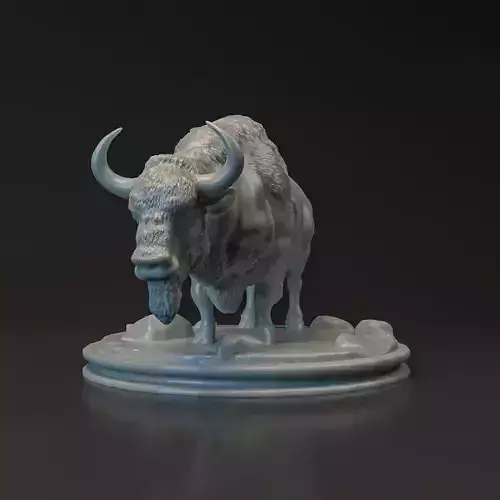 Bison