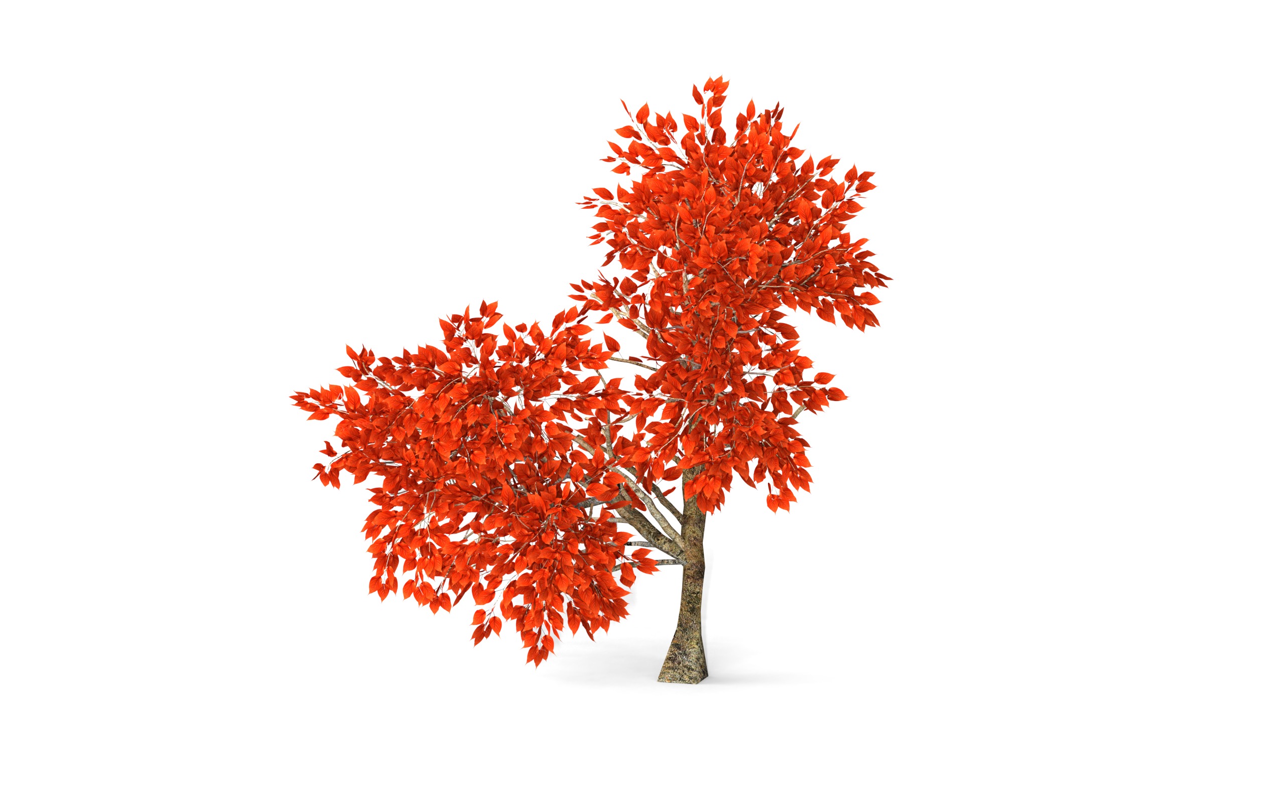 Maple Tree with Red Leaves 3D model_1
