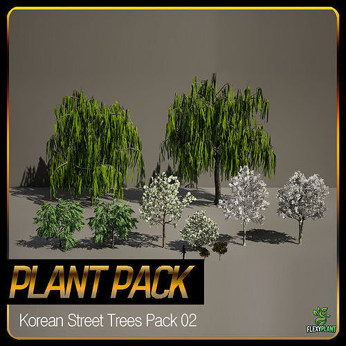 PREMIUM PLANT PACK - 10 realistic Korean Street Tree Pack 02 3D model