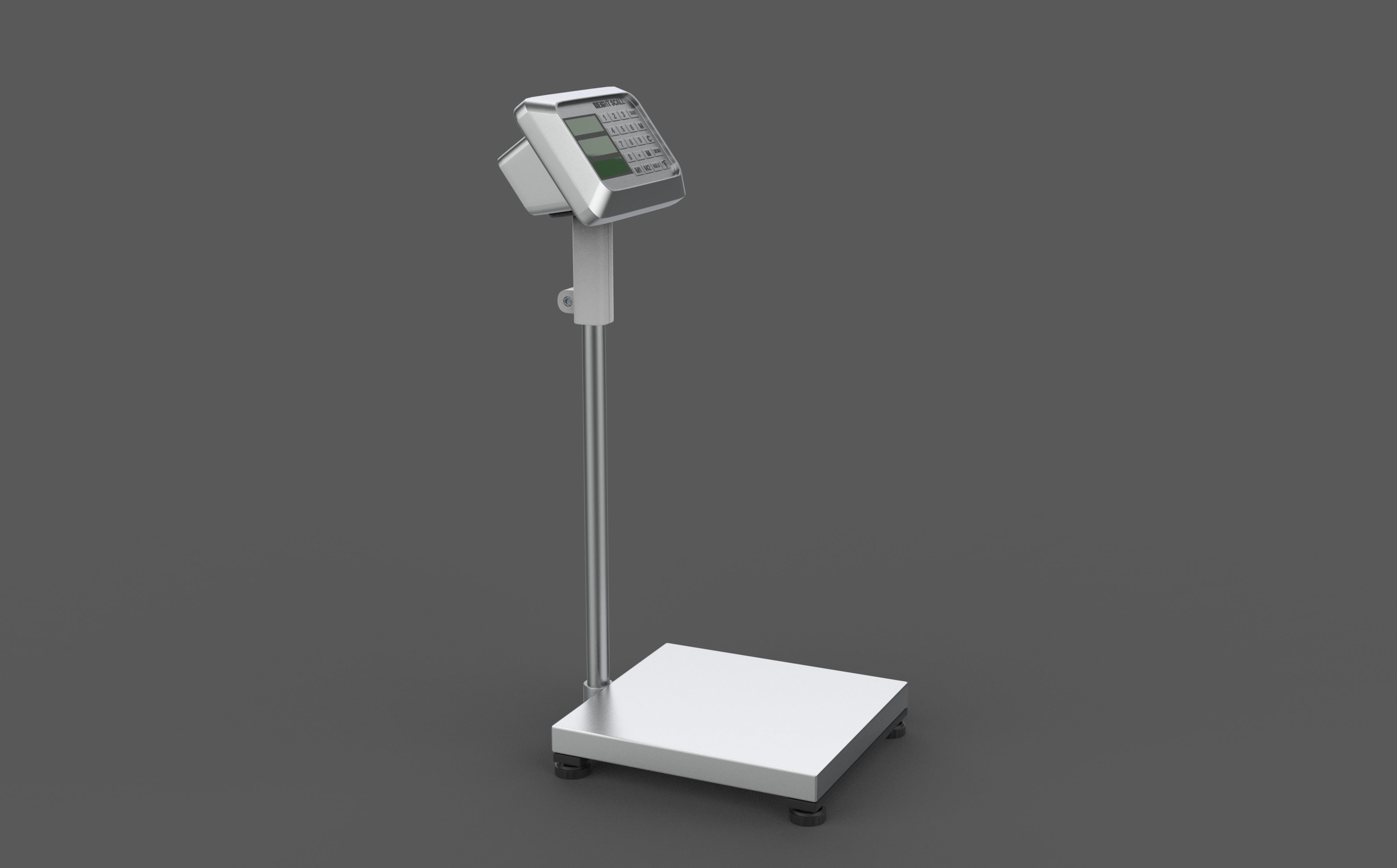 Digital Platform Scale 3D model_4