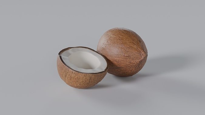 Coconut Photorealistic PBR  Low-poly 3D model
