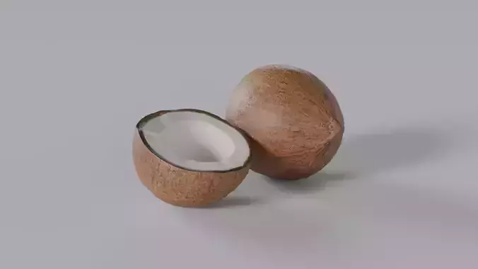 Coconut Photorealistic PBR  Low-poly 3D model