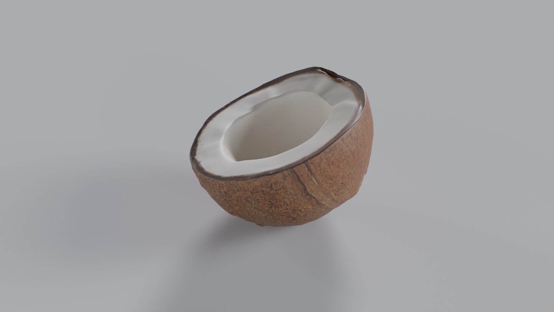 Coconut Photorealistic PBR  Low-poly 3D model_3