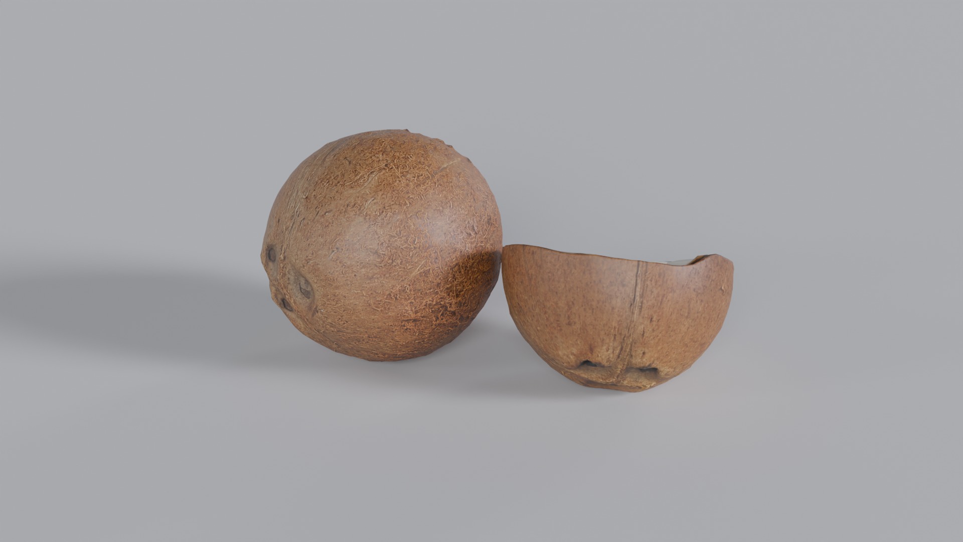 Coconut Photorealistic PBR  Low-poly 3D model_2