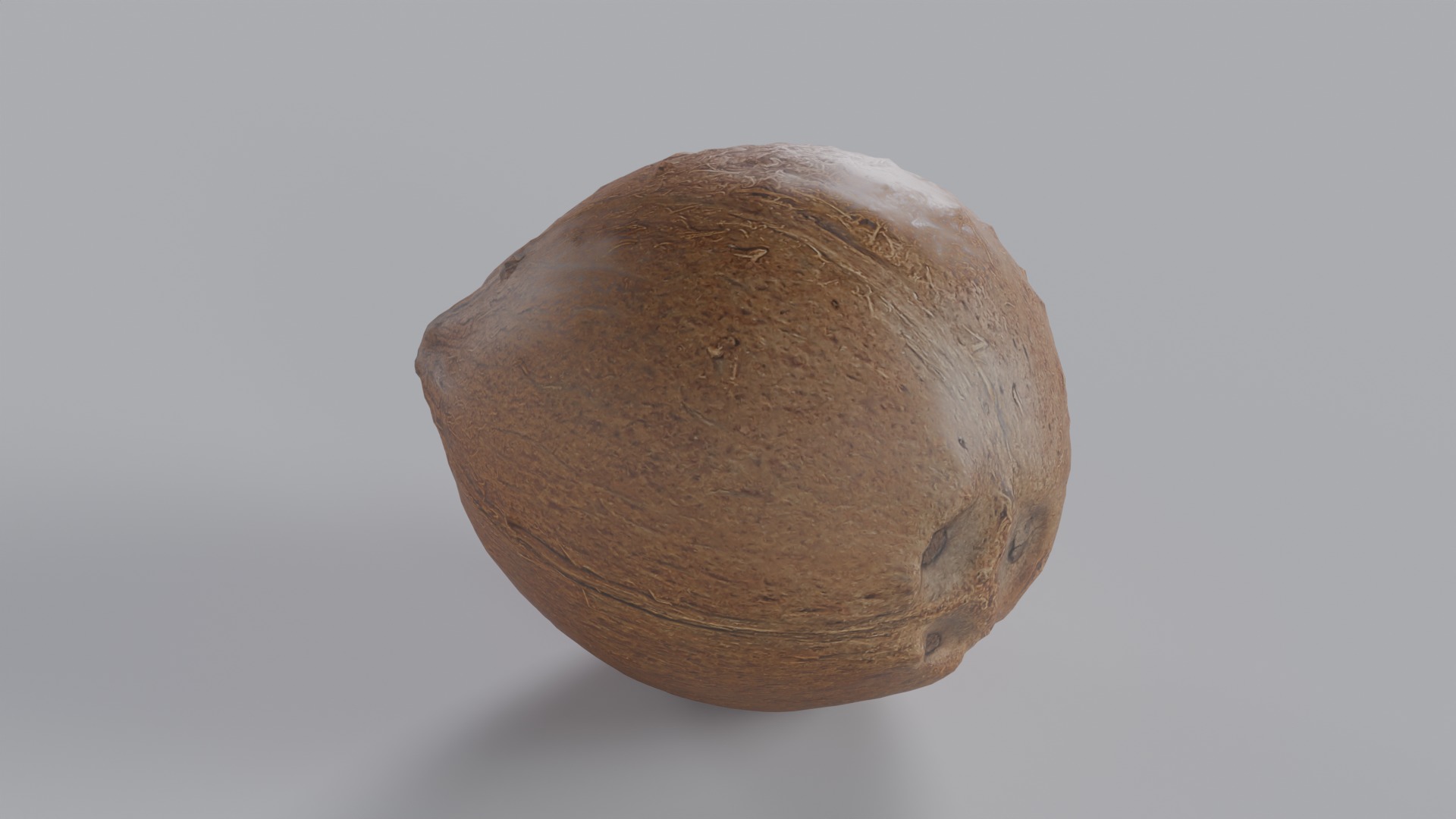Coconut Photorealistic PBR  Low-poly 3D model_4