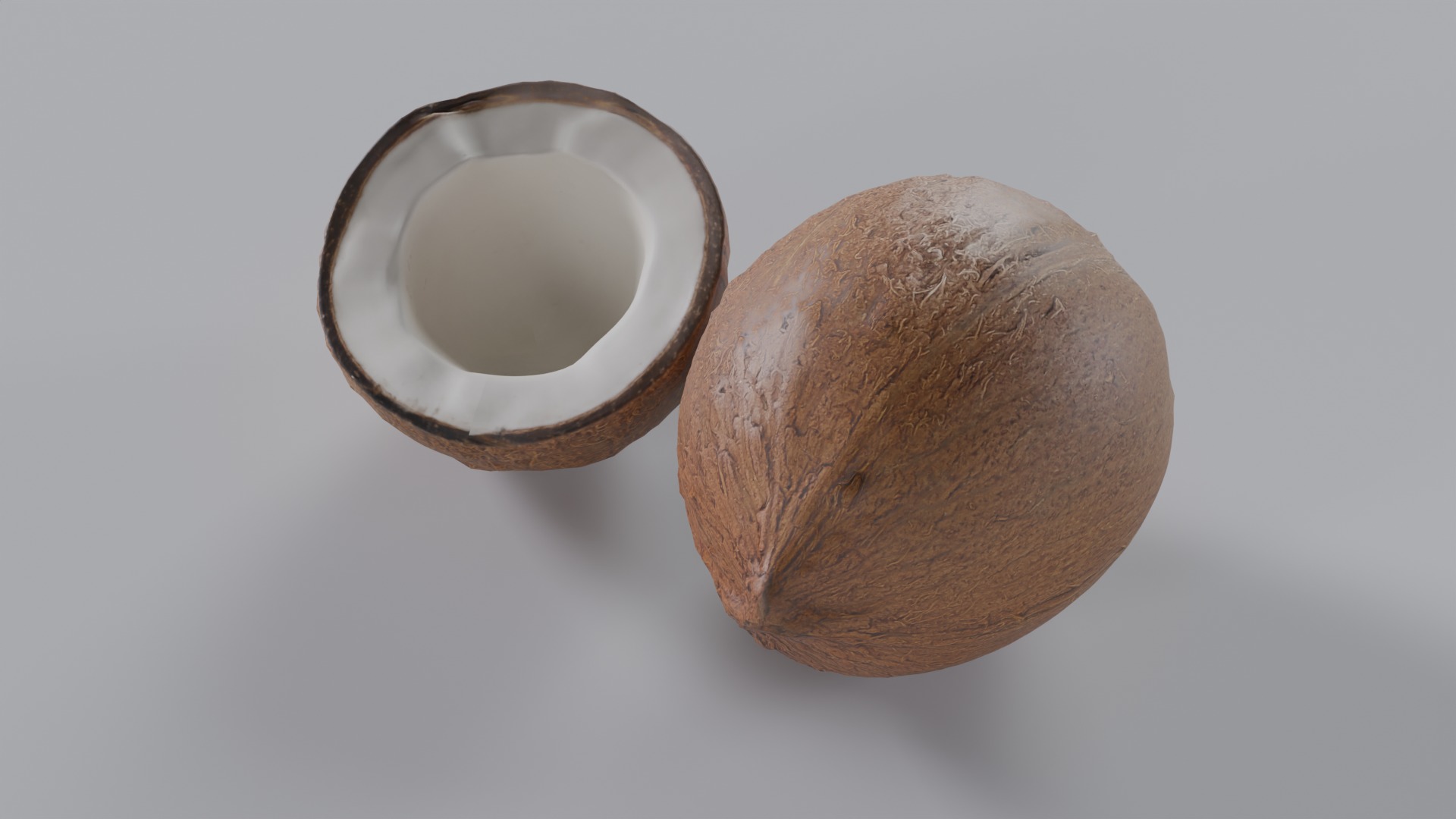 Coconut Photorealistic PBR  Low-poly 3D model_1