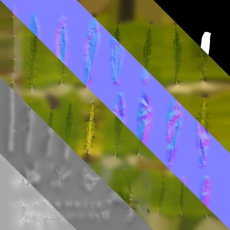 Anydrafts Hygrophila corymbosa stricta Leaf 01 Texture_8