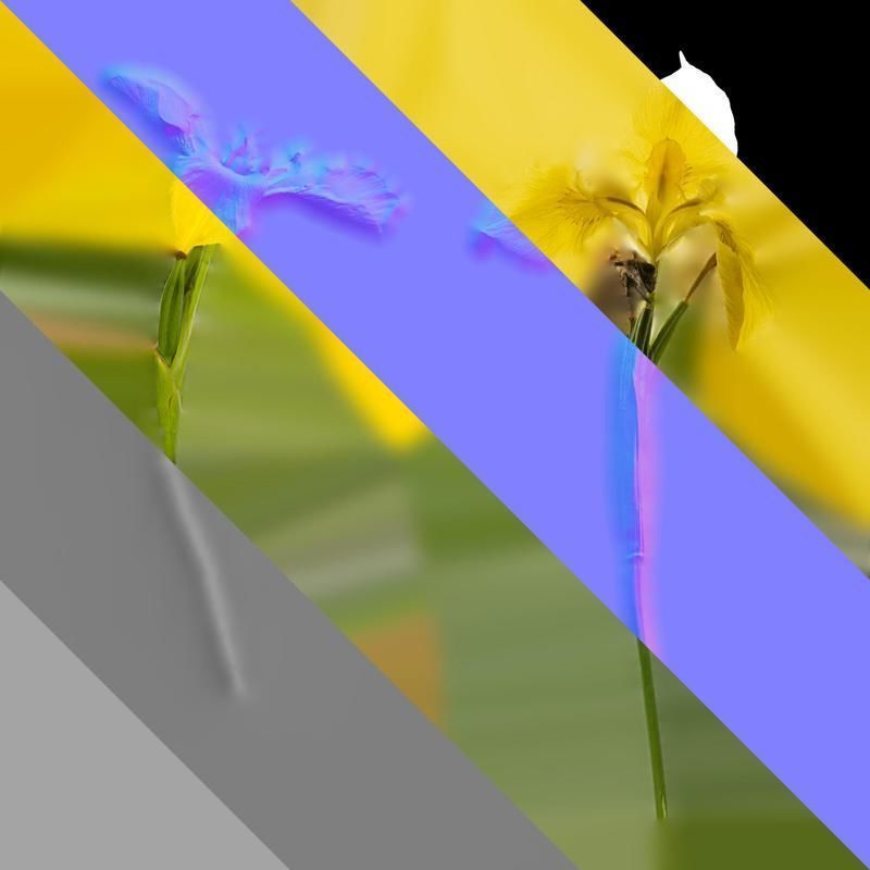 Anydrafts Iris pseudacorus Atlas 04 Texture_8