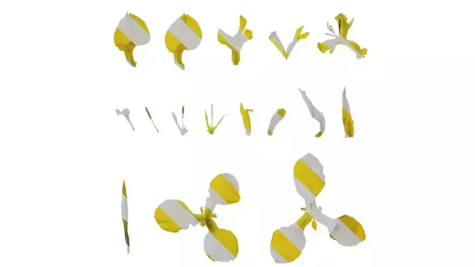 Anydrafts Iris pseudacorus Flower 01