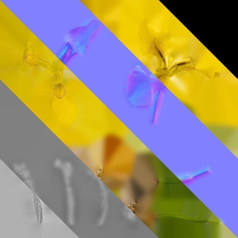 Anydrafts Iris pseudacorus Flower 05 Texture_8