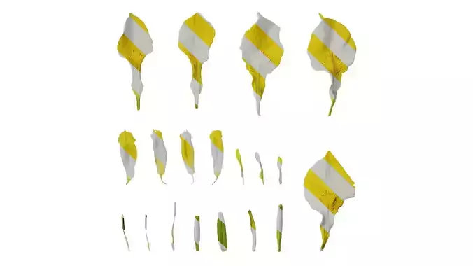 Anydrafts Iris pseudacorus Flower 06