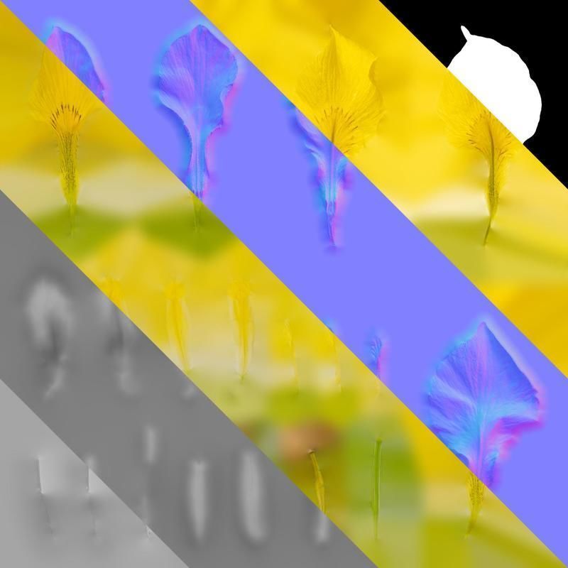 Anydrafts Iris pseudacorus Flower 06 Texture_8