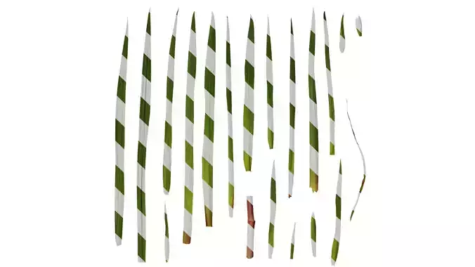 Anydrafts Iris pseudacorus Leaf 01