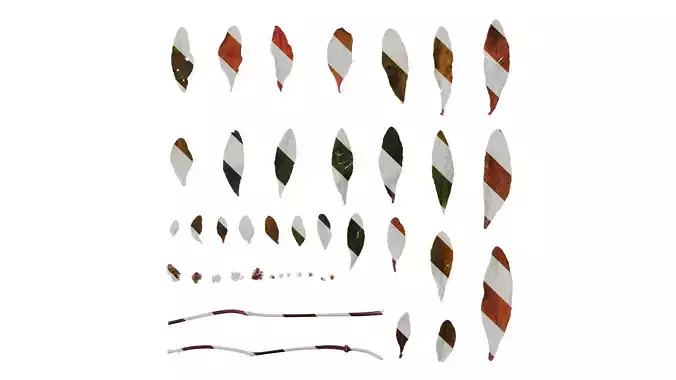 Anydrafts Ludwigia glandulosa Atlas 03 F