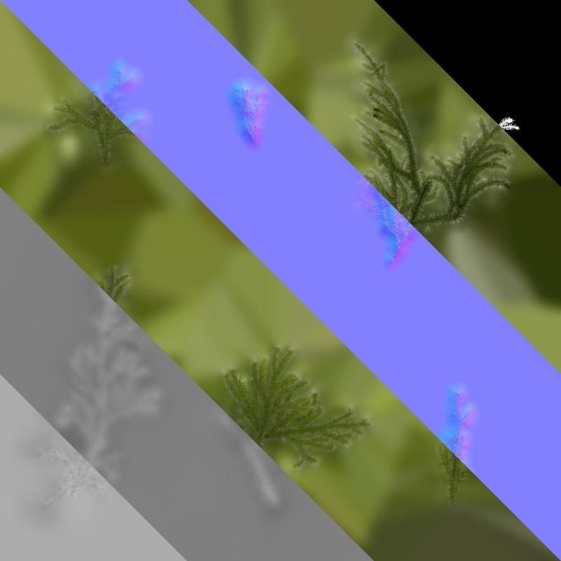 Anydrafts Lycopodium japonicum Atlas 01 Texture_8