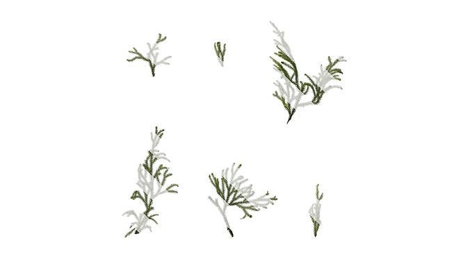 Anydrafts Lycopodium japonicum Atlas 01 Texture